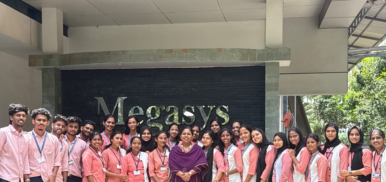 Industrial visit to Megasys 